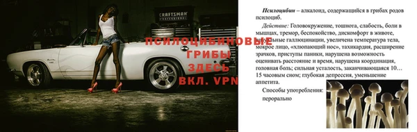 mdpv Костерёво