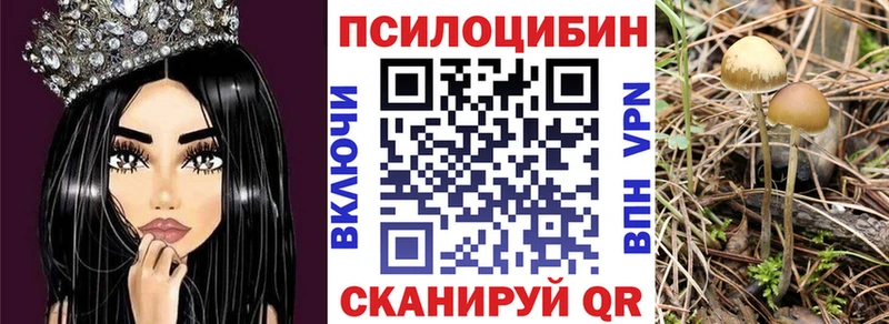 Галлюциногенные грибы Cubensis  Купить где  Звенигово 